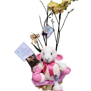 Arreglo Con Orquídea Y Muñeco